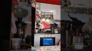 InShot_20251028_214947847.mp4