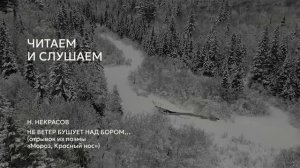 Возьмите на урок: Н. Некрасов "Не ветер бушует над бором…"