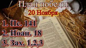 20 Ноября