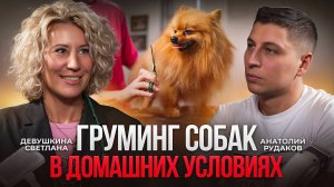 Груминг в домашних условиях. Что нужно делать, что бы ваша собака была ухоженной?