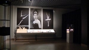 В Рязани открылась выставка к 100-летию Майи Плисецкой