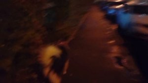 маркер нет на поход в кусты