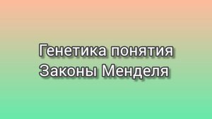 Основные понятия генетики Законы Менделя