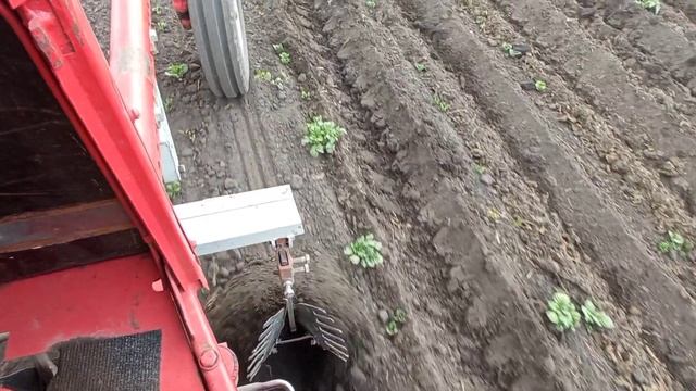 Окучивание картофеля на т16 .mp4 смотреть онлайн
