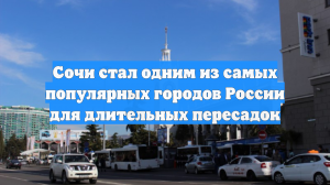 Сочи стал одним из самых популярных городов России для длительных пересадок