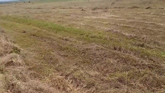 Гвк 6 на т16 .mp4 смотреть онлайн