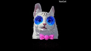 новая заставка капёскины после 1 сезона