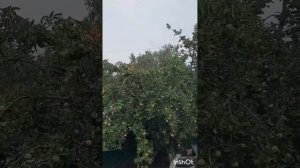 Животные.Сборник интересных моментов из жизни животных.Фильм5.Серия1 .mp4