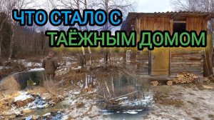 Что стало с таёжным домом после половодья