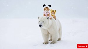 Как Мишкеа котиков спасал