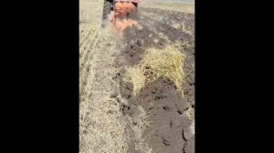 Плуг 3х корпусной оборотный