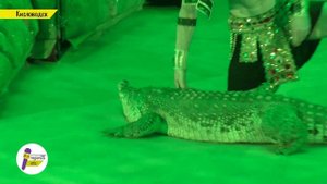 Тропик шоу - премьера