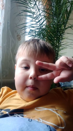 леплю мис Дэлайт