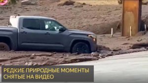 Редкие природные моменты снятые на видео.  Лучшее из 2025 года
