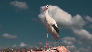 МУЗЫКА, КОТОРАЯ ВДОХНОВЛЯЕТ И ТРОГАЕТ ДО ГЛУБИНЫ ДУШИ!