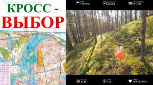 Спортивное ориентирование - Фестиваль Активного отдыха 2025, кросс-выбор - 03.08.2025