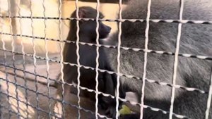 МЫ РАССТРОИЛИСЬ! У Люси в приоритете Елисей и нам показалось, что ОНА СТАЛА ОТДАЛЯТЬСЯ даже от папы!