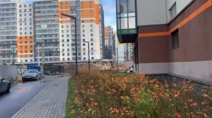 С-Пб, Старорусский 9 стр 2