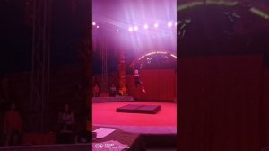 Четайкина Елизавета