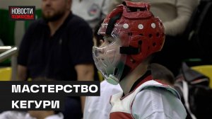 Соревнования по тхэквондо провели  в Мытищах