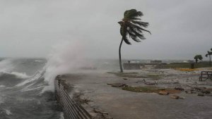 В посольстве РФ прокомментировали последствия урагана «Мелисса»