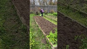 Выходные в деревне 10.10-11.10.2025г