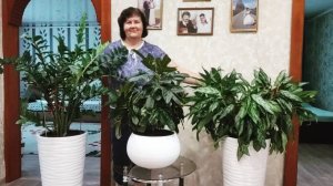 Весь день провела с ними.....