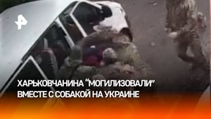 В Харькове мобилизованного пытались отправить на фронт вместе с собакой