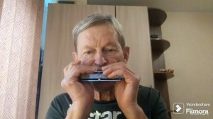 Open Doors (Открытые двери) & Secret Garden & Harmonica Tombo Unichromatic