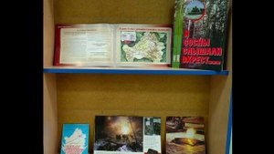 Видеопрезентация выставки Детской библиотеки № 3