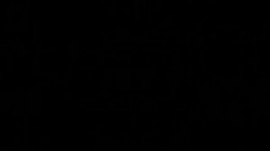 СТЕРВА-слова Сергея Дроздова исполняет Сергей Дроздов