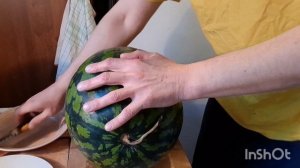 Октябрь 2025 Арбуз.