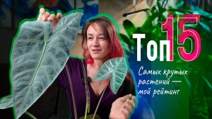 Зелёный Оскар: ТОП‑15 САМЫХ удивительных растений