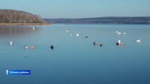 Ҡандрыкүл - аҡҡоштар төбәге