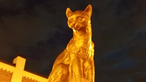 29-10-2025Из посёлка  в город.Сквер Сибирских кошек.Ночная Тюмень.