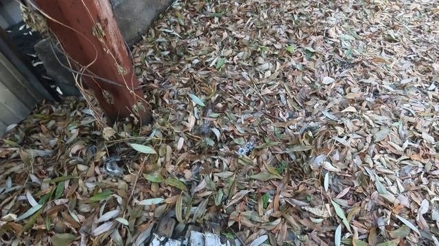 Вечерняя прогулка №52. 😊