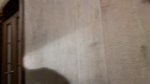 МЯСНИКОВОЙ