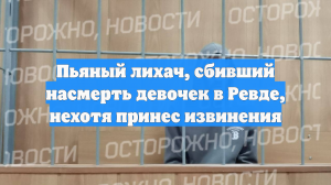 Пьяный лихач, сбивший насмерть девочек в Ревде, нехотя принес извинения