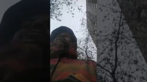 Мы идём гулять с собакой! | 29-окт-2025