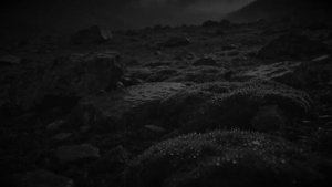 Поход в проклятое место | страшная история