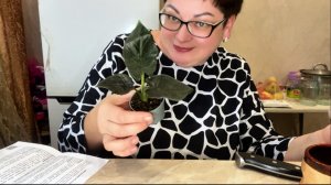 Еще девчуля зелененькая приехала/Ну, красавица же/Вопрос⁉️Как хранить мох🤭🙄