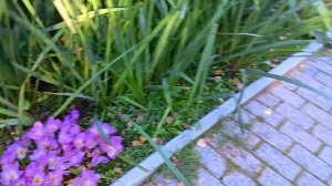 Осенью ботанический сад «Ермаково поле» под Тобольском превращается в тихую сказку...