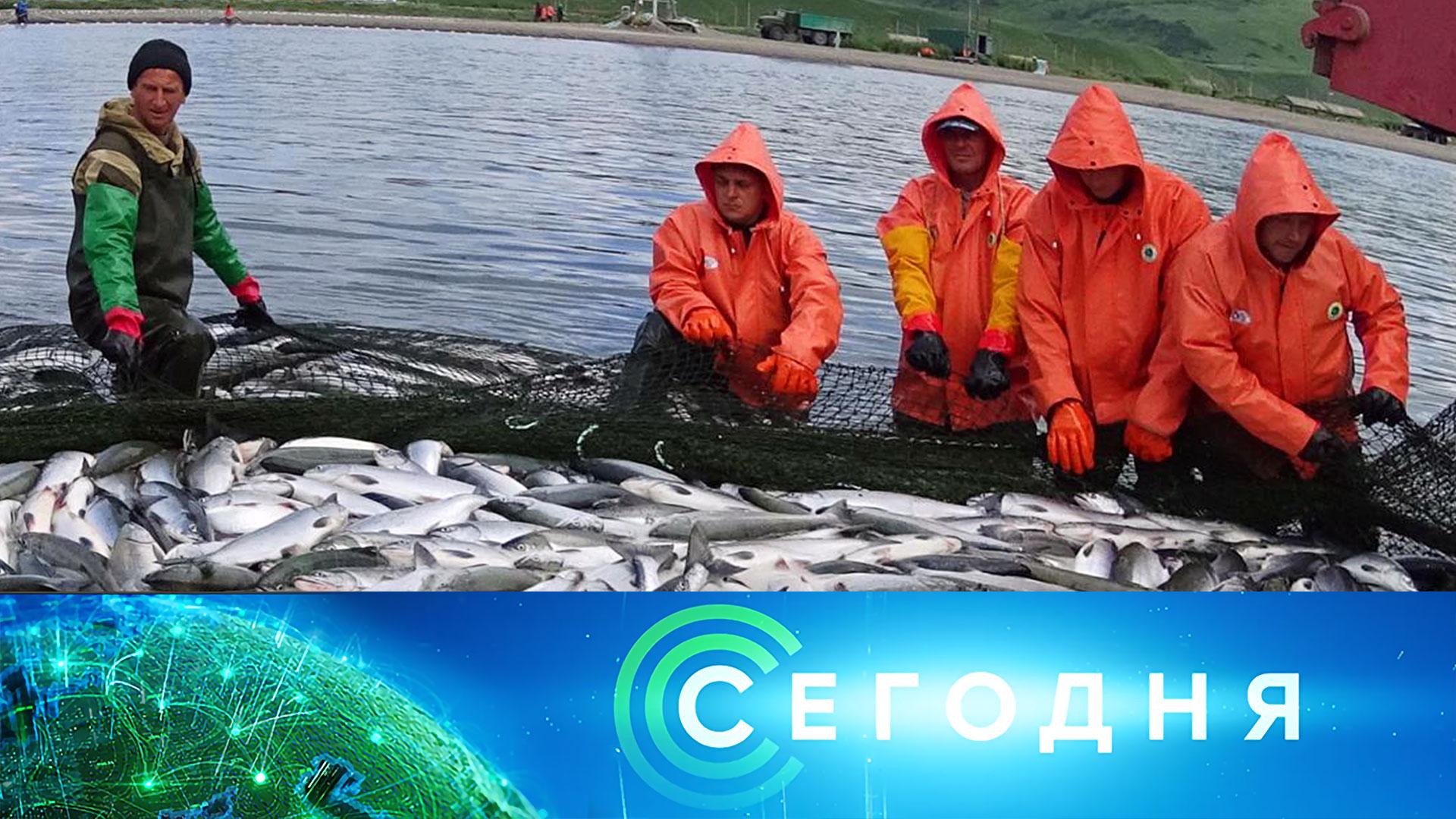 Сегодня: 29 октября 2025 года. 19:00 | Выпуск новостей | Новости НТВ