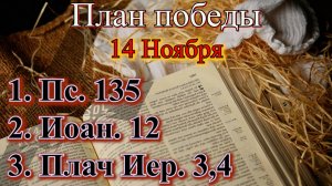 14 Ноября