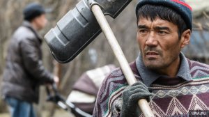 ШОК! Мигрант в  России больше, чем мигрант!!!