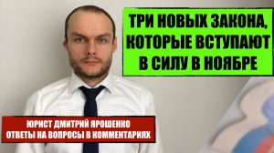 ТРИ НОВЫХ ЗАКОНА, КОТОРЫЕ ВСТУПЯТ В СИЛУ В НОЯБРЕ и иные изменения с 1 ноября 2025. Юрист. Адвокат.