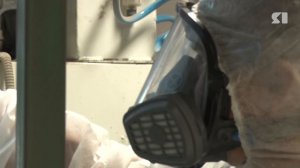 Стало известно, благодаря чему возможностей для развития бизнеса в Ярославле стало больше