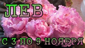 ЛЕВ таро прогноз на неделю с 3 по 9 НОЯБРЯ 2025 года.