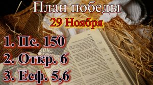 29 Ноября