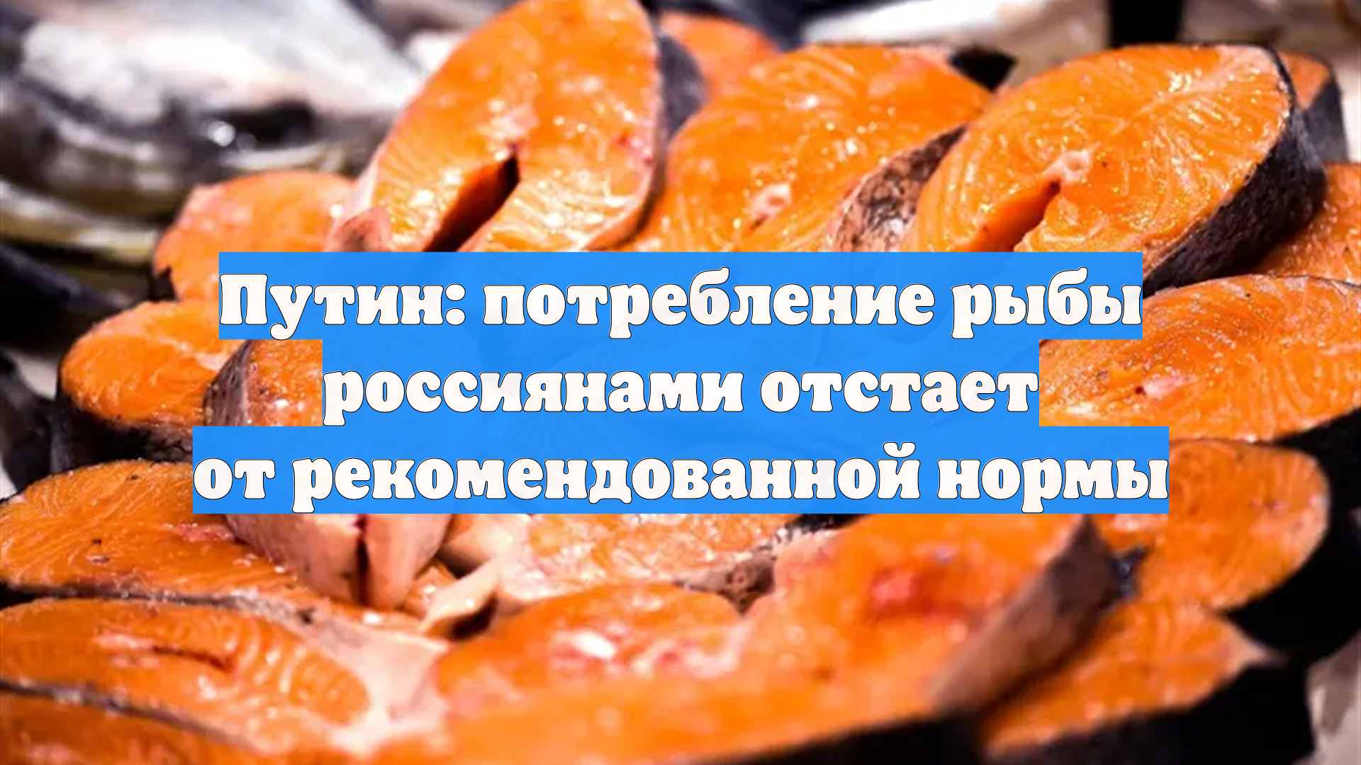 Путин: потребление рыбы россиянами отстает от рекомендованной нормы
